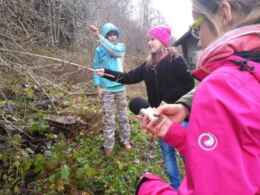 GIEU RADIOFONIC EN VIADI